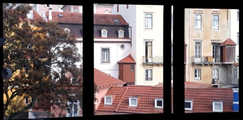 Carla D. Apartamento Coimbra